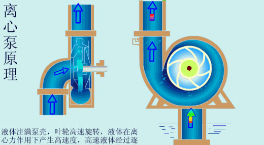 給（gei）水泵、給（ji）水泵別再傻傻分不清楚（內含動畫）